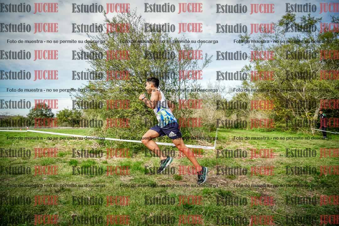Fotos en el circuito