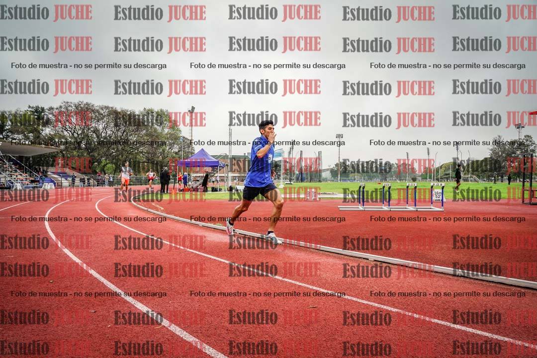 Fotos de los 800 m llanos de varones