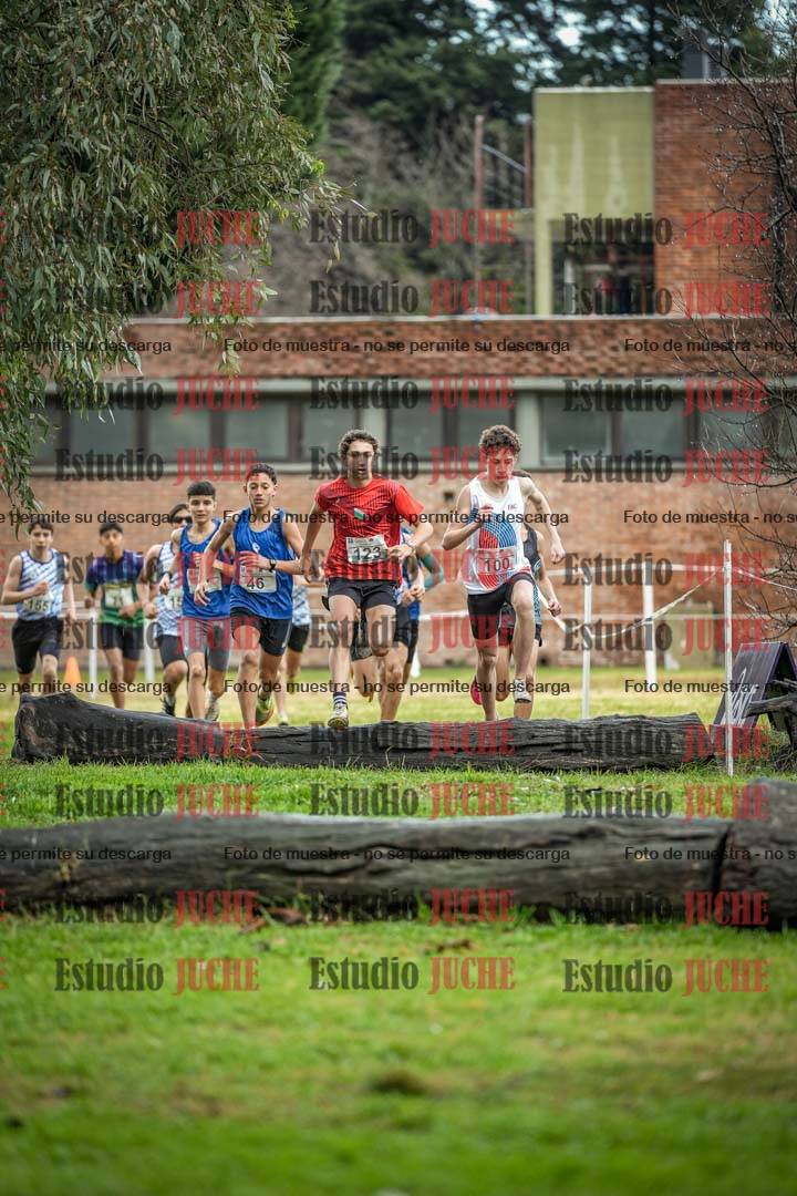 Fotos en el circuito