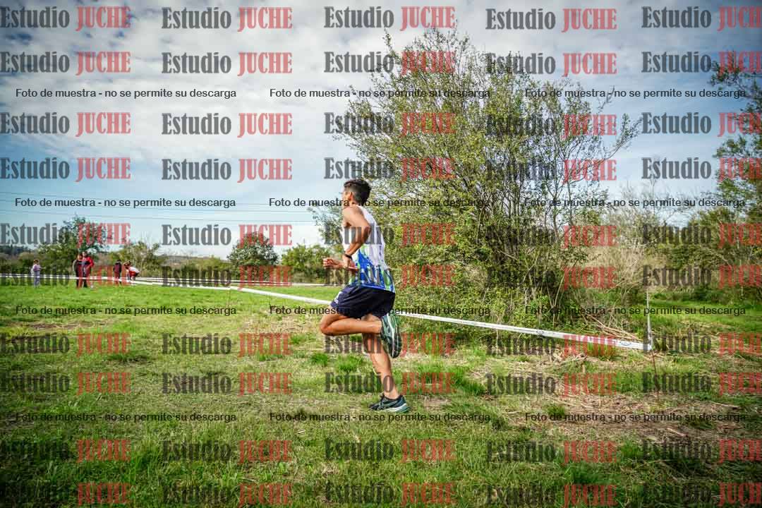Fotos en el circuito