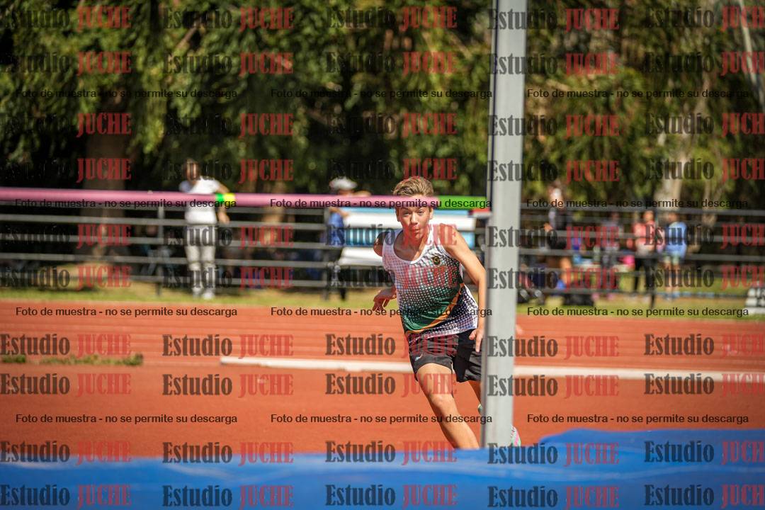 Fotos del salto en alto de varones