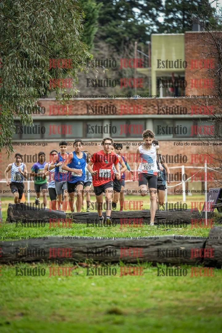 Fotos en el circuito
