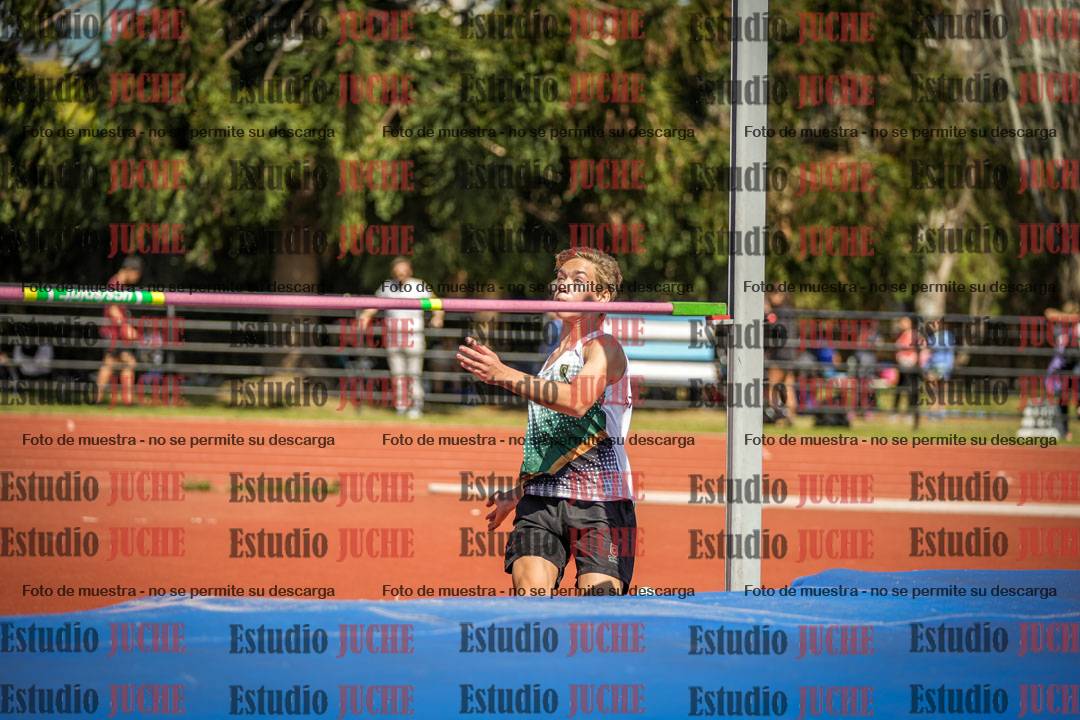Fotos del salto en alto de varones