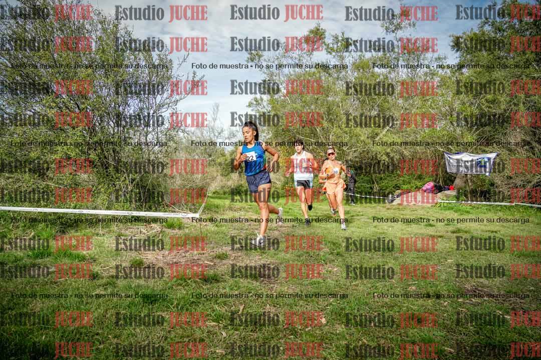 Fotos en el circuito