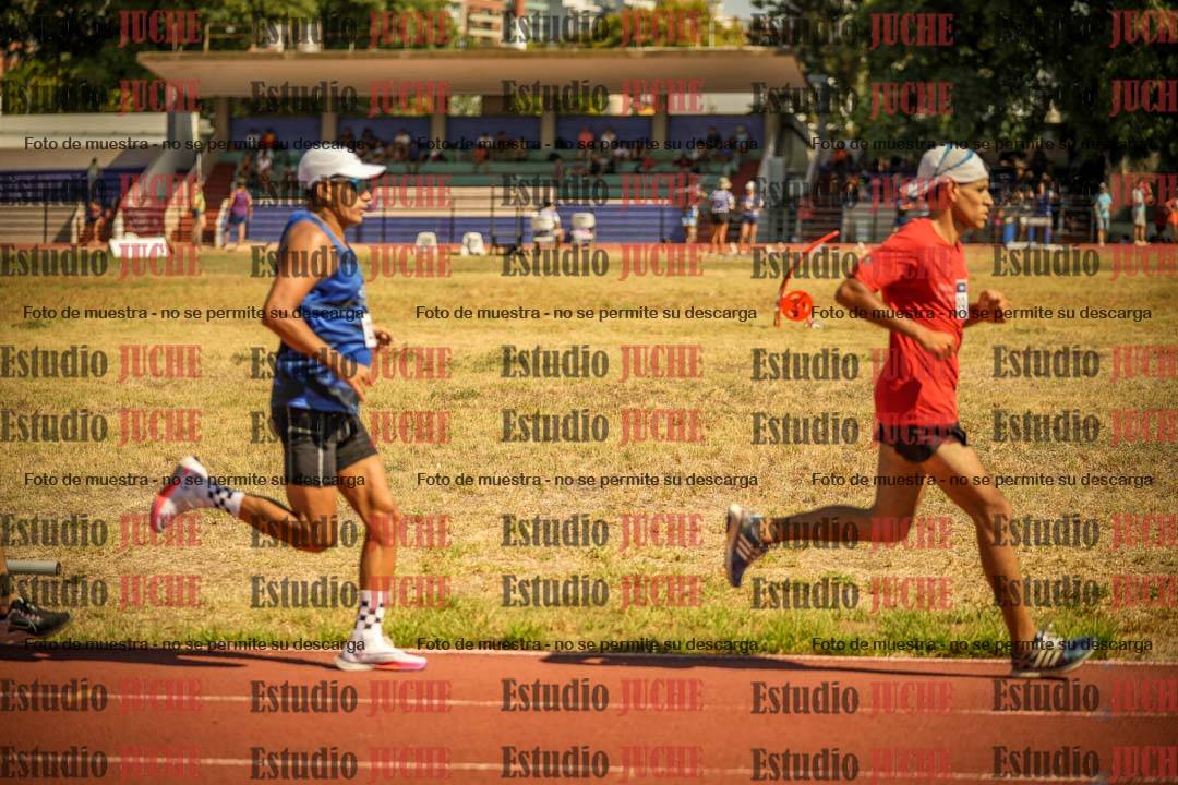 Fotos de los 3000 m llanos de varones