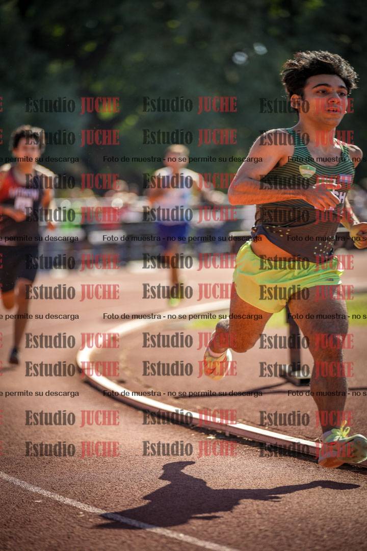 Fotos de los 800 m llanos de varones