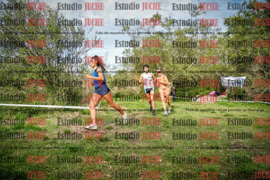 Fotos en el circuito