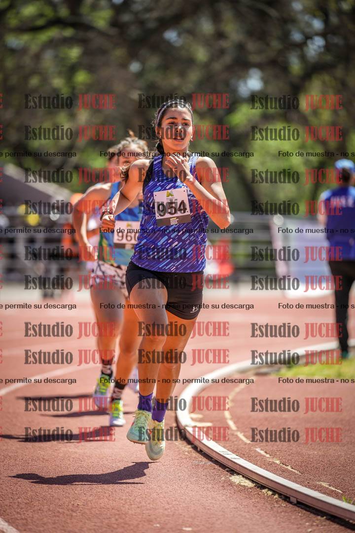 Fotos de los 800 m llanos de mujeres