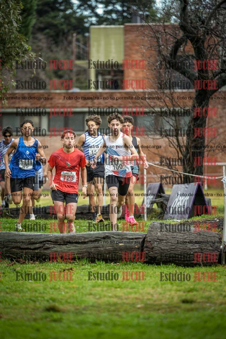 Fotos en el circuito
