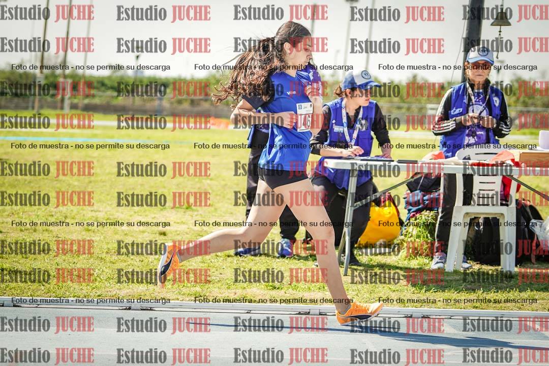 Fotos de los 800 m llanos de mujeres