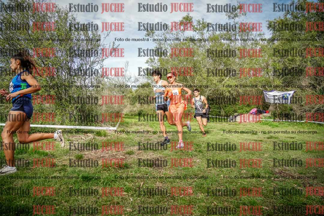 Fotos en el circuito