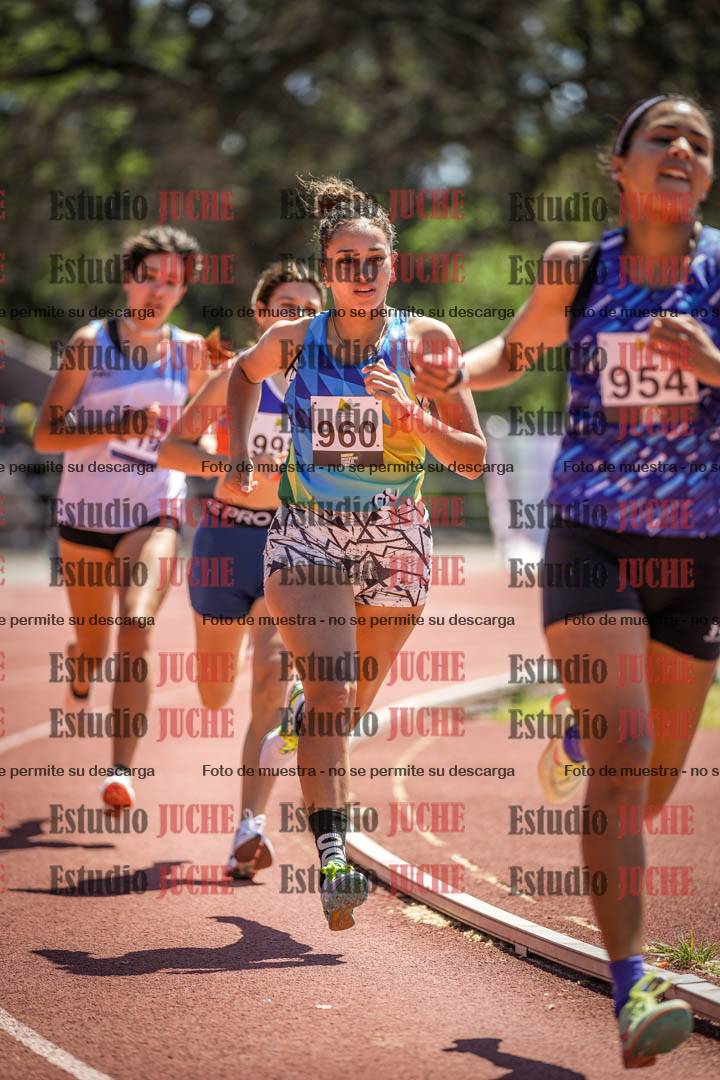 Fotos de los 800 m llanos de mujeres