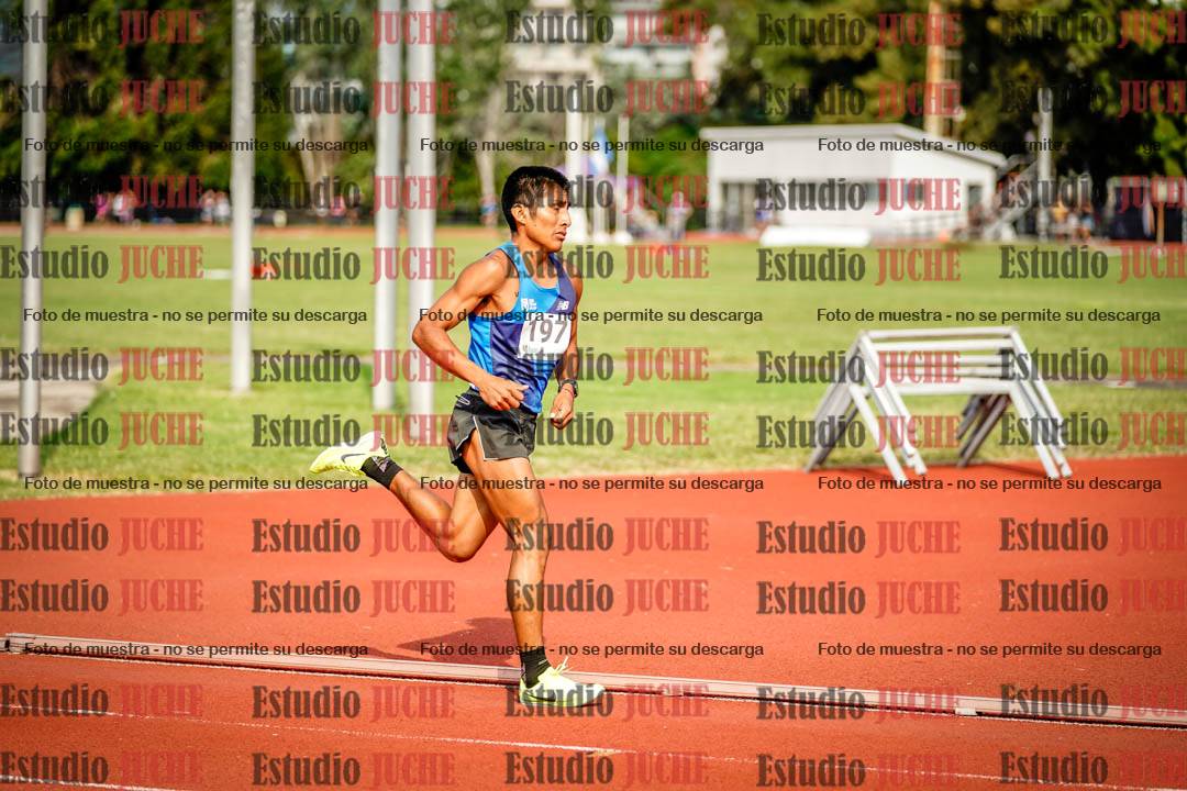Fotos de los 3000 m llanos de varones