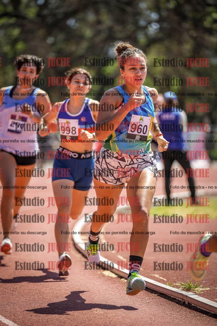 Fotos de los 800 m llanos de mujeres