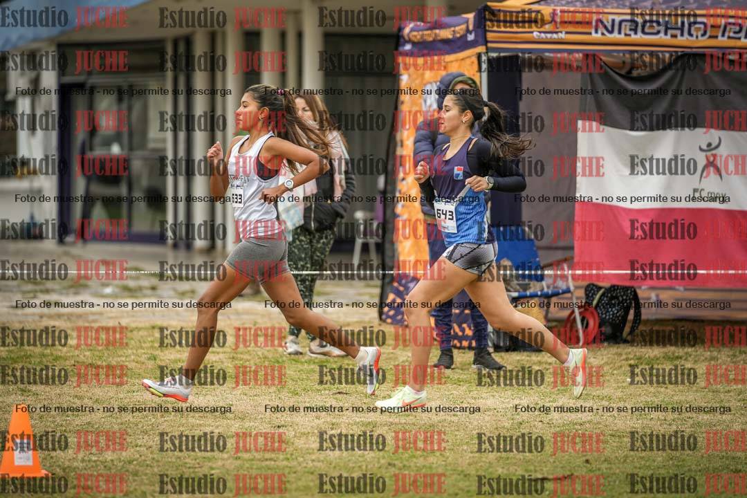 Fotos en el circuito