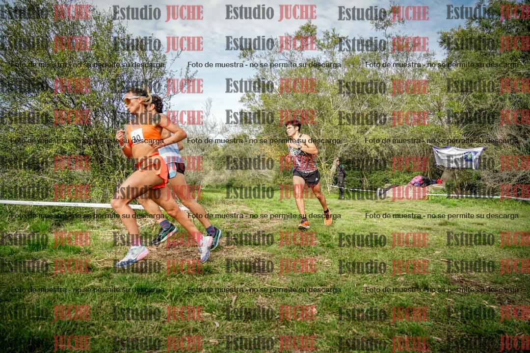 Fotos en el circuito