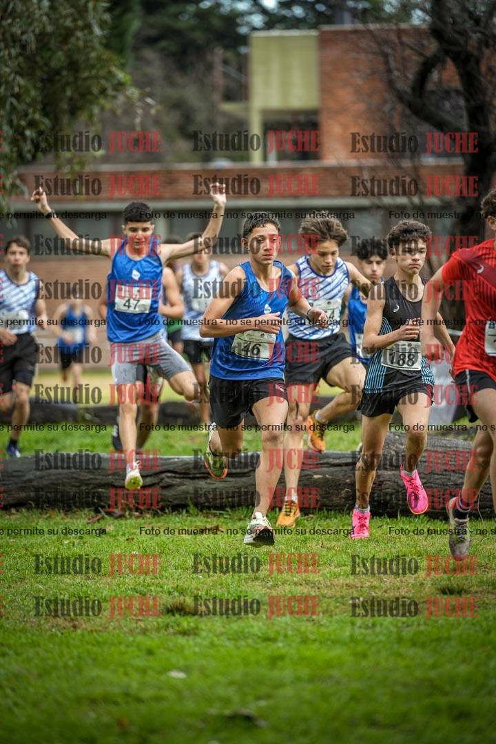 Fotos en el circuito