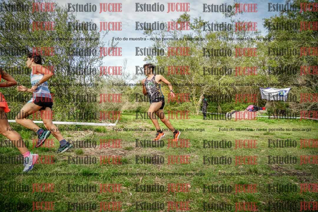 Fotos en el circuito