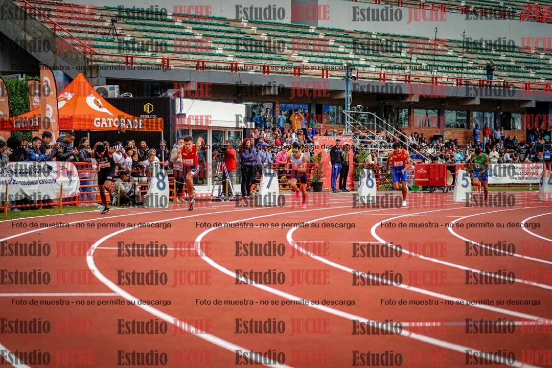 Fotos de los 800 m llanos de varones - FINAL