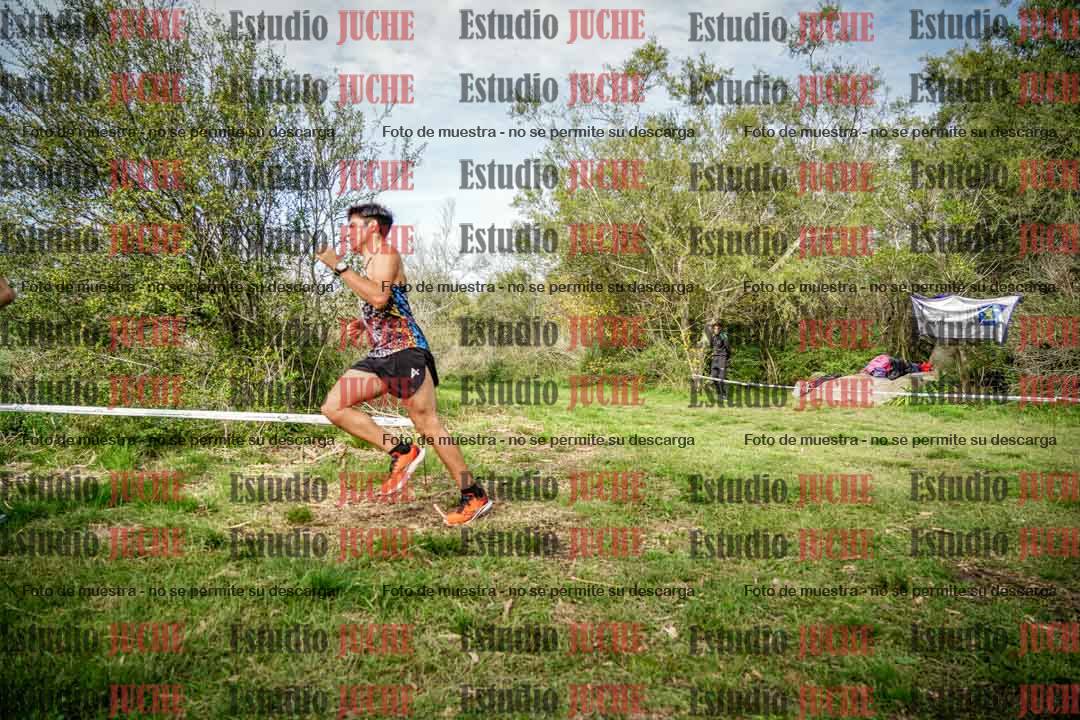Fotos en el circuito