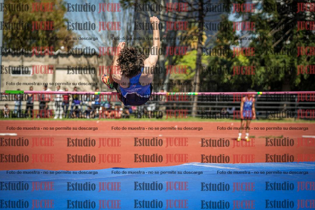 Fotos del salto en alto de varones