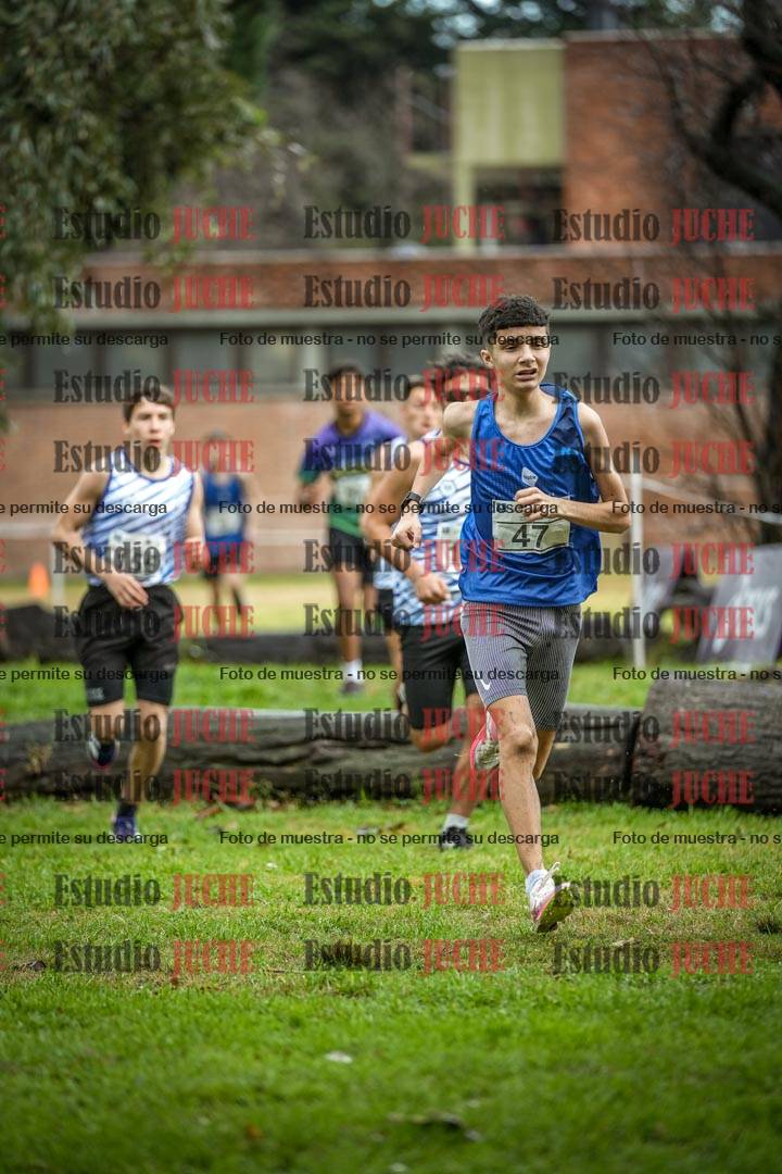 Fotos en el circuito