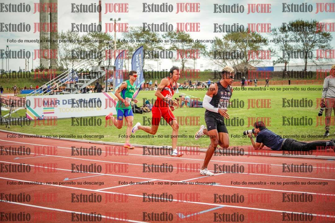 Fotos de los 800 m llanos de varones - FINAL