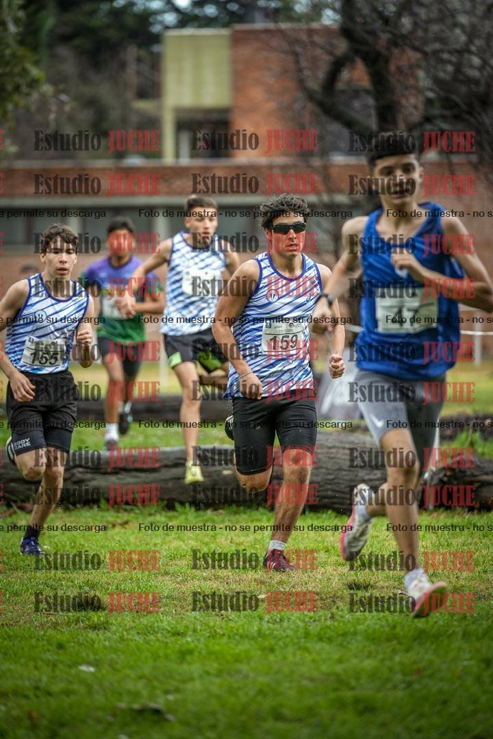 Fotos en el circuito