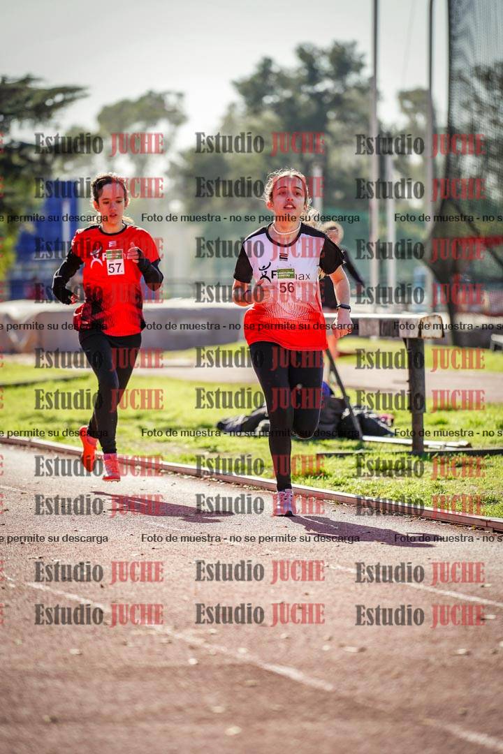 Fotos de los 800 m llanos de mujeres