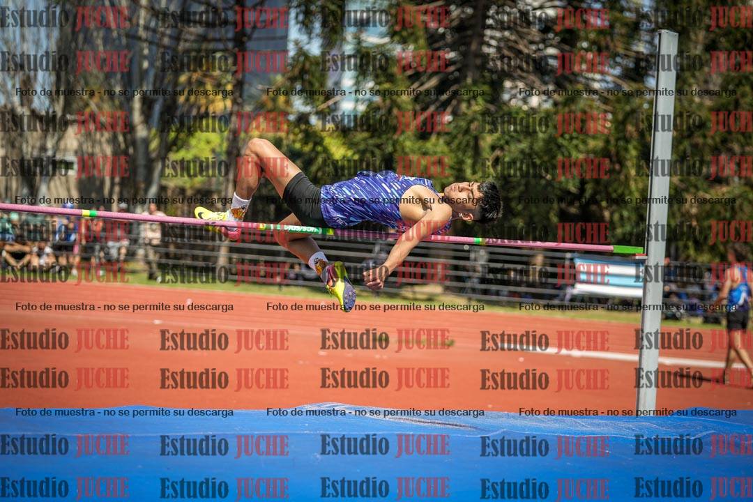 Fotos del salto en alto de varones