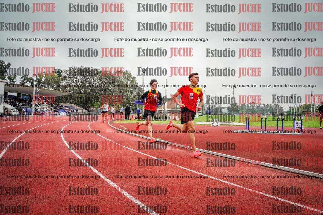 Fotos de los 800 m llanos de varones