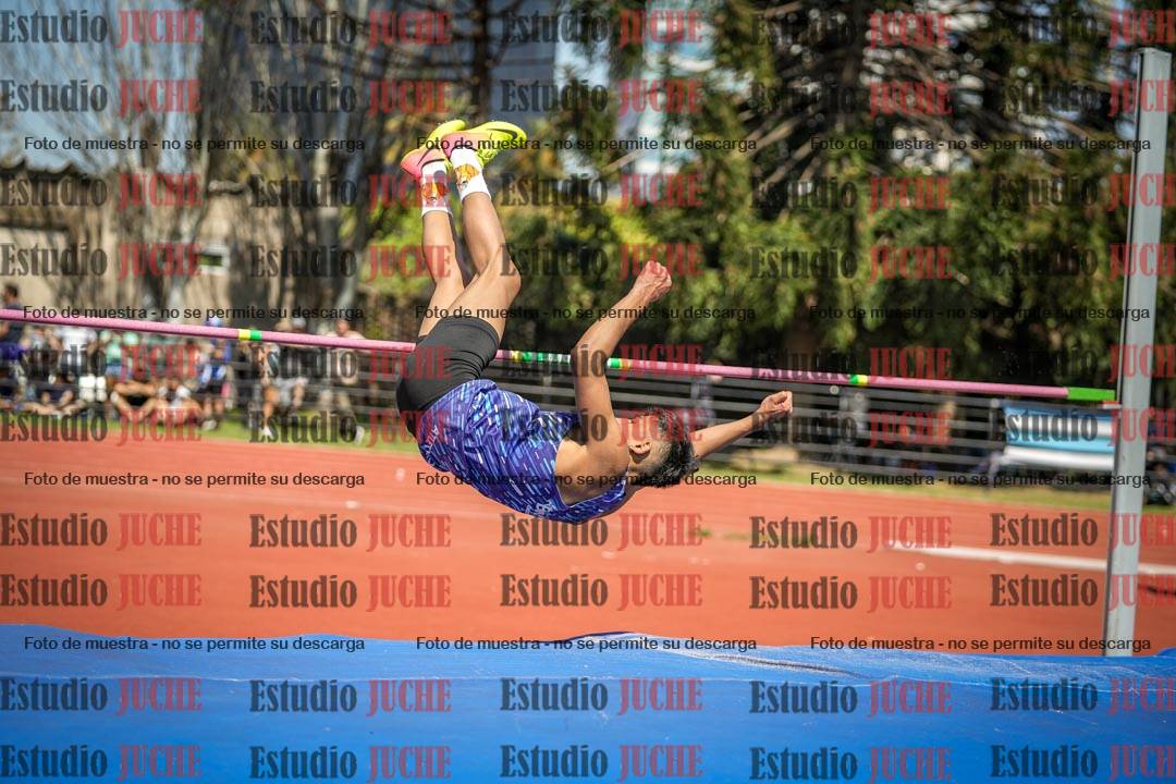 Fotos del salto en alto de varones