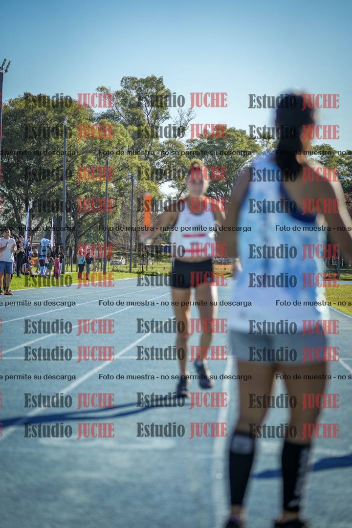 Fotos de las llegadas