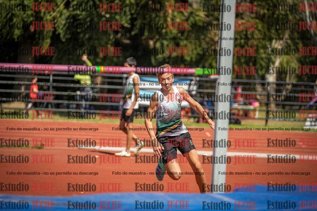 Fotos del salto en alto de varones
