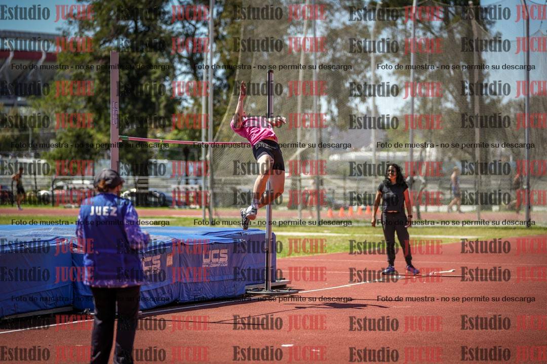 Fotos del salto en alto de varones
