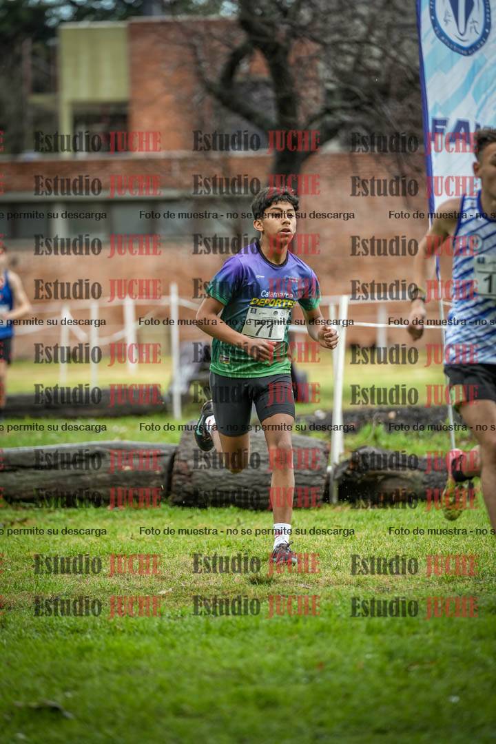 Fotos en el circuito