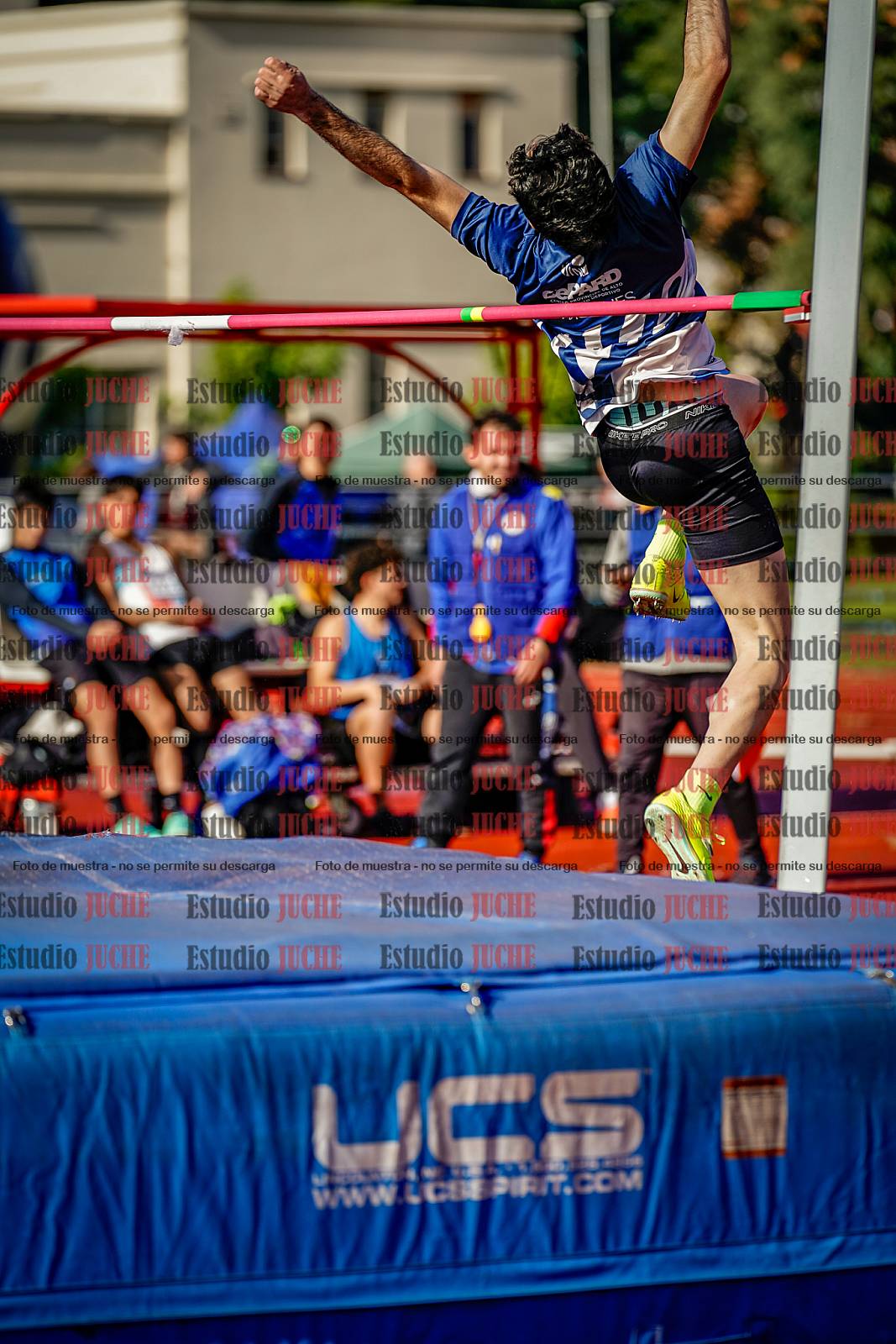 Fotos del salto en alto de varones