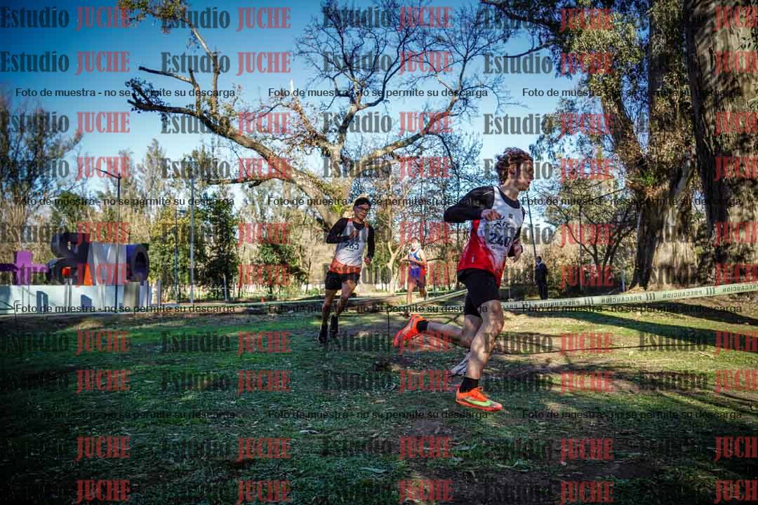 Fotos en el quinto punto del circuito