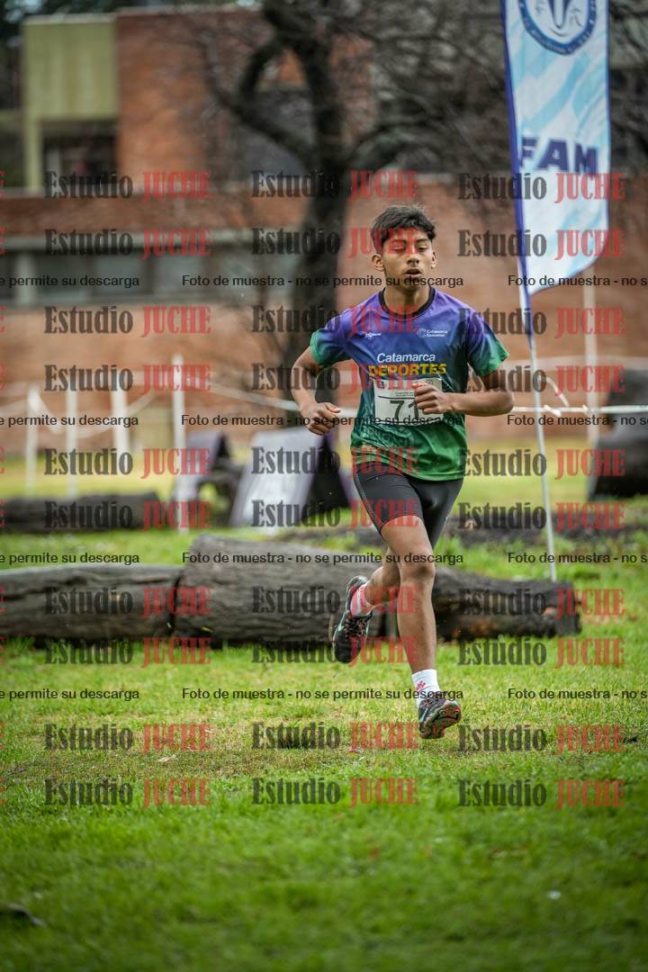 Fotos en el circuito