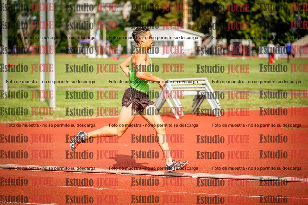 Fotos de los 3000 m llanos de varones