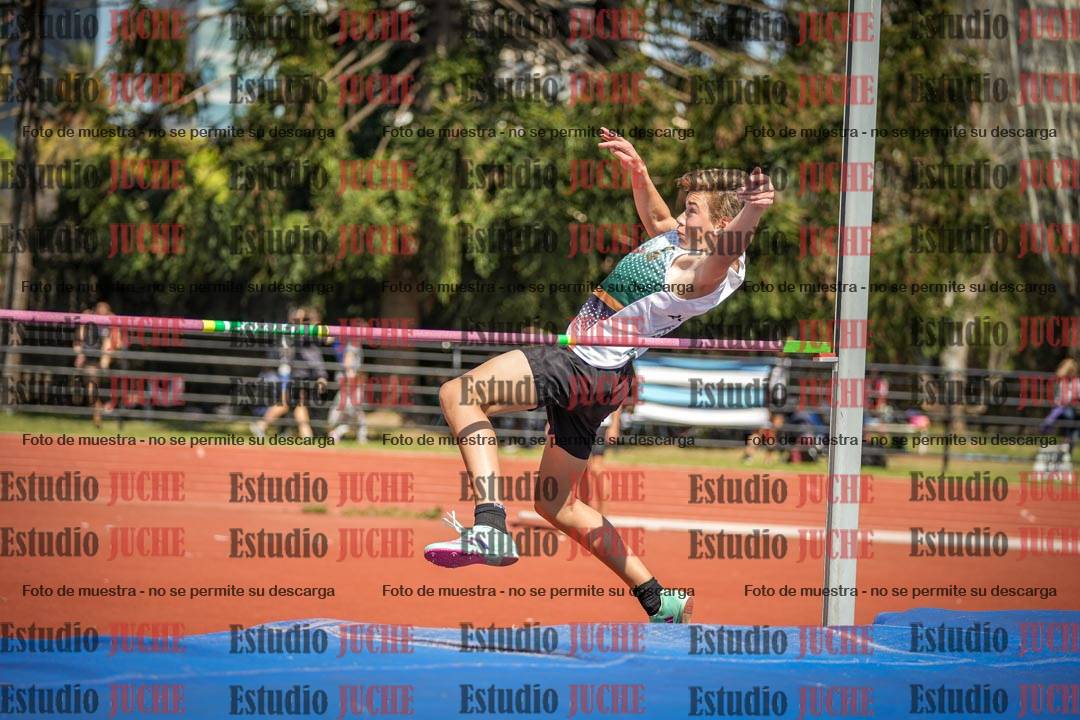 Fotos del salto en alto de varones