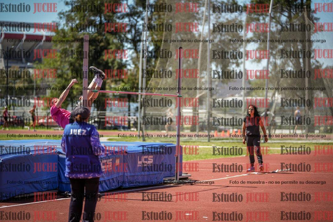 Fotos del salto en alto de varones