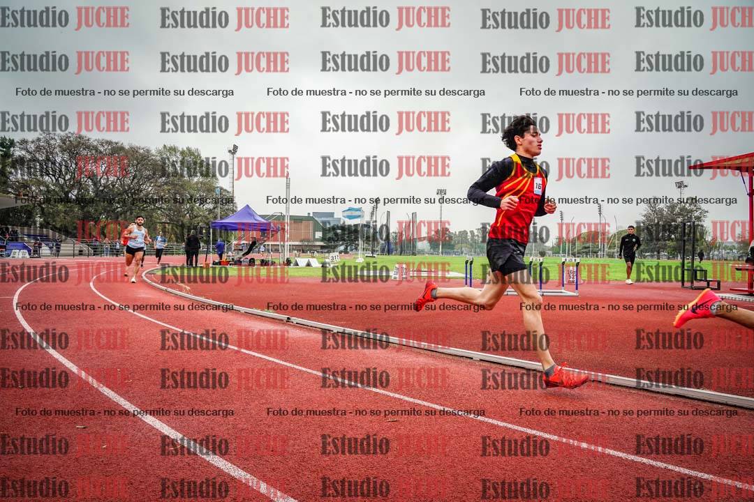 Fotos de los 800 m llanos de varones