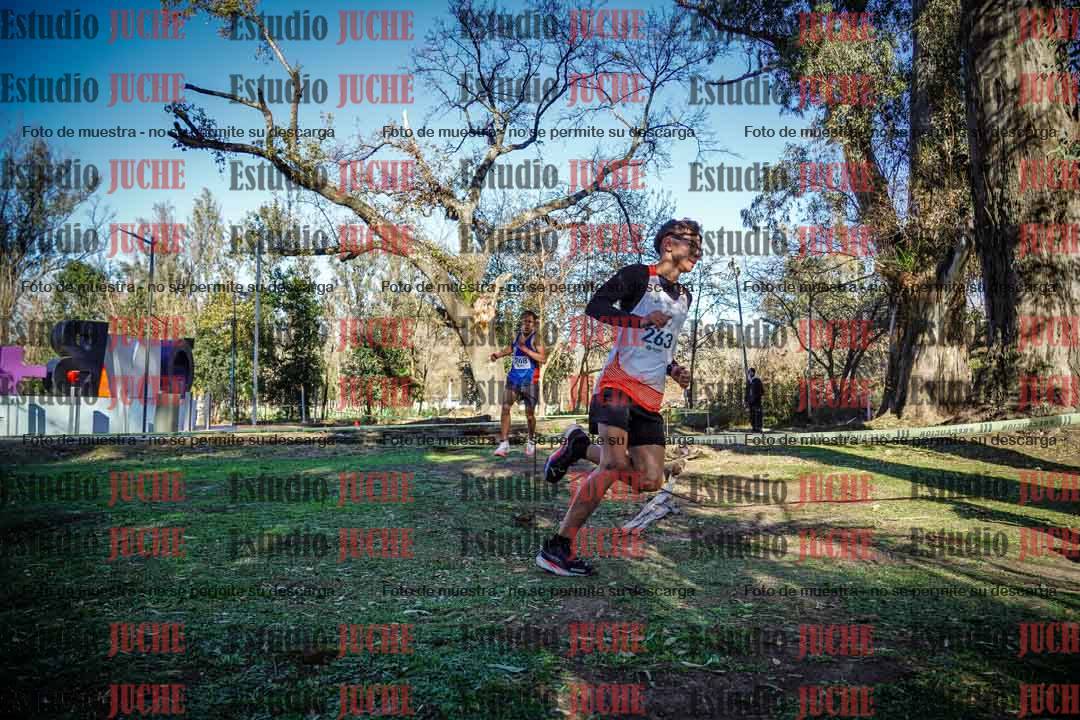 Fotos en el quinto punto del circuito