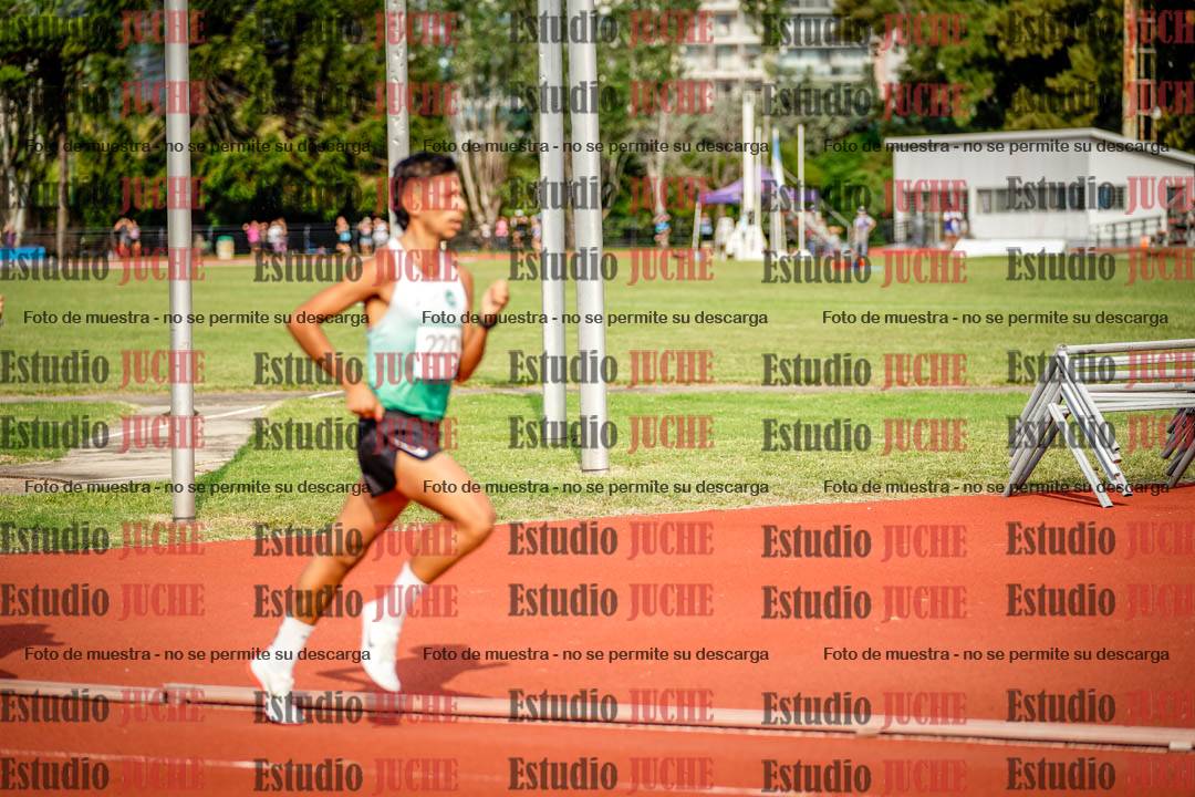 Fotos de los 3000 m llanos de varones