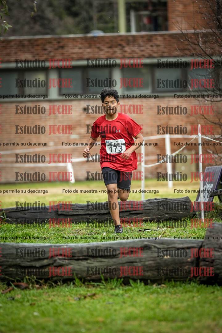Fotos en el circuito