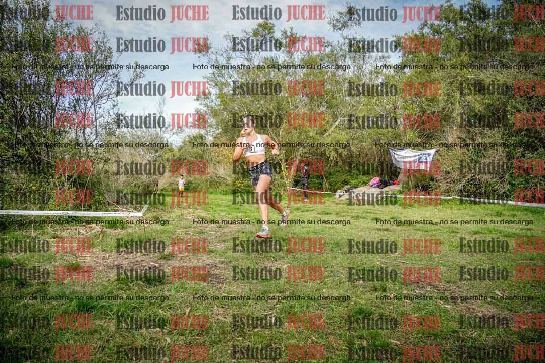 Fotos en el circuito
