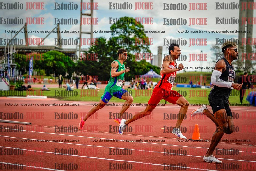 Fotos de los 800 m llanos de varones - FINAL