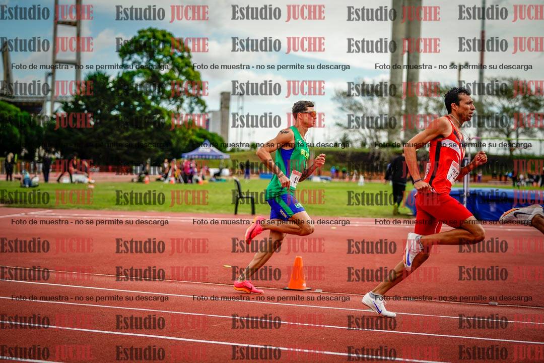 Fotos de los 800 m llanos de varones - FINAL