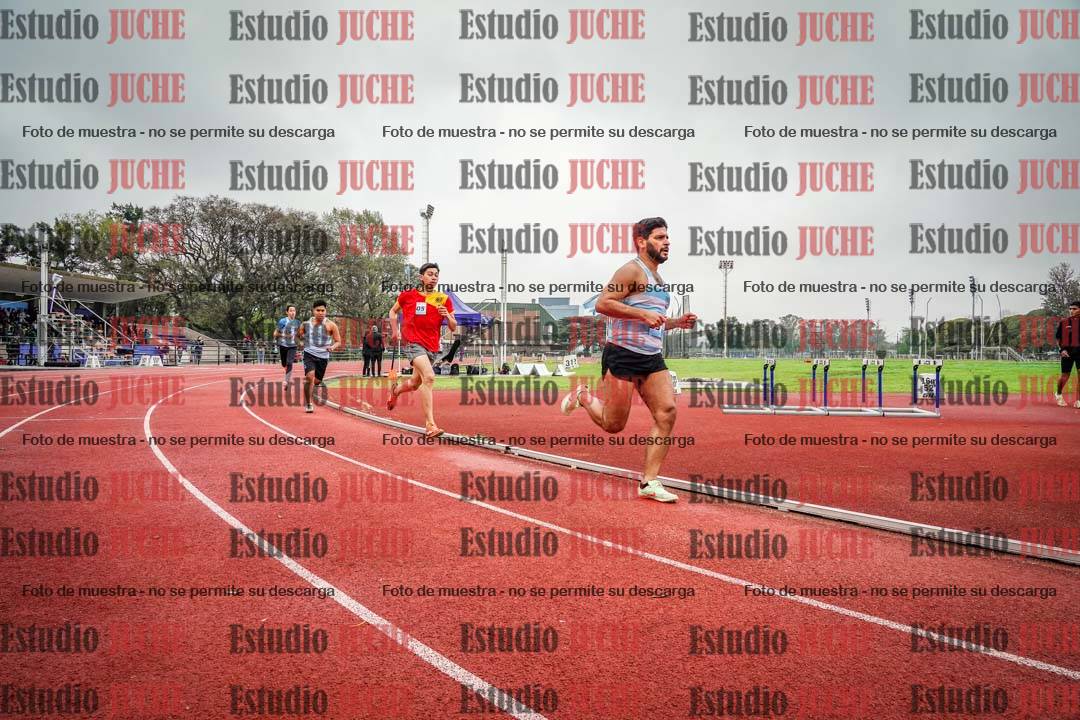 Fotos de los 800 m llanos de varones
